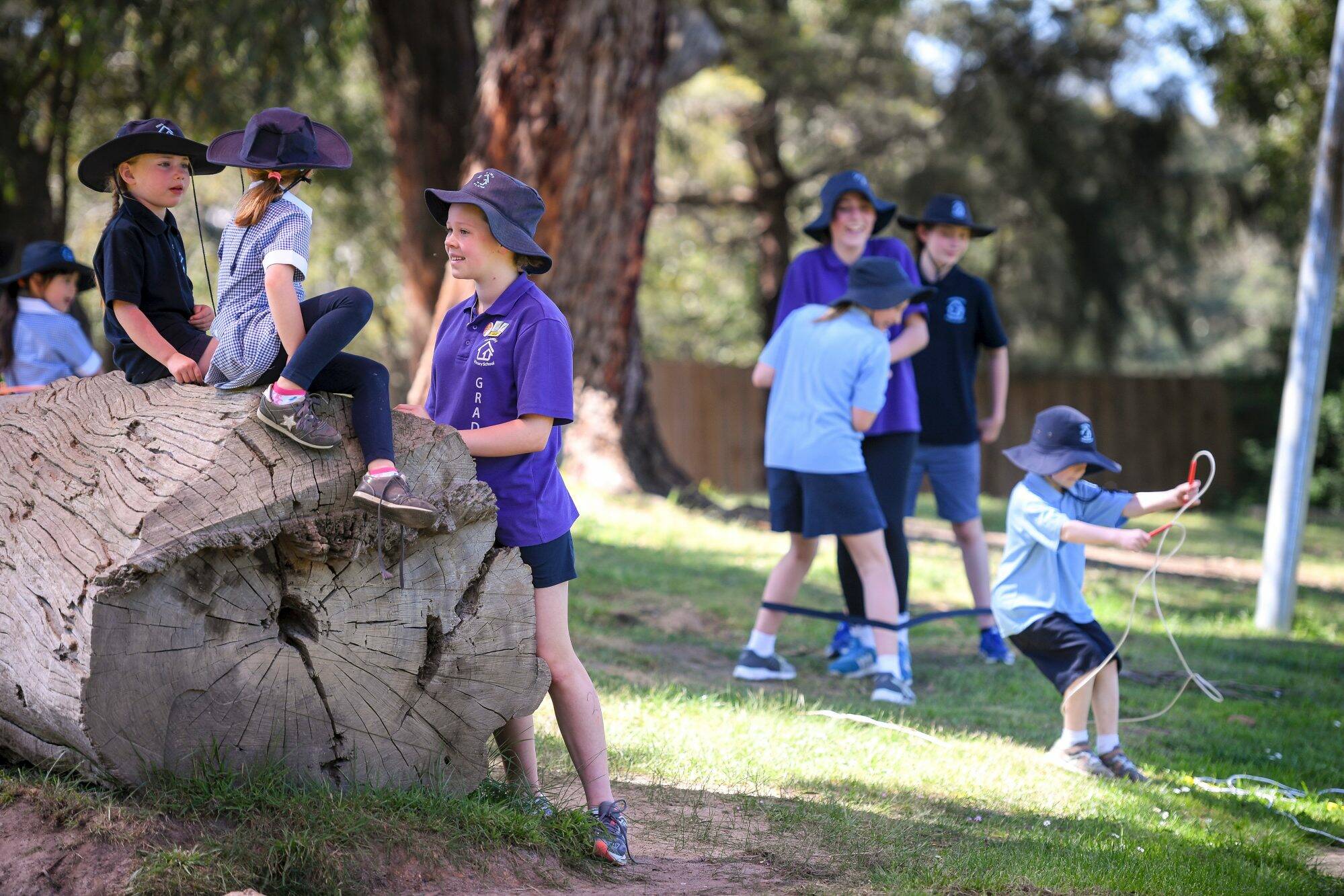 Harkaway Primary School digital technologies learning